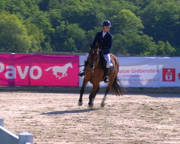 Reitturnier Fürstenwald 2025
