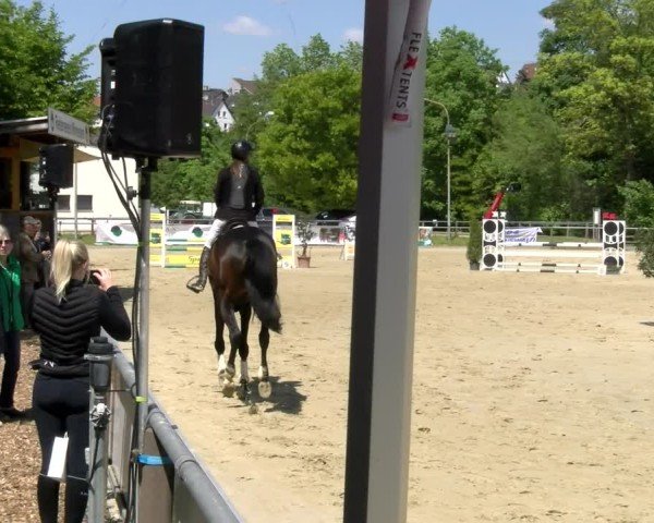 Reitturnier Winnenden 2025