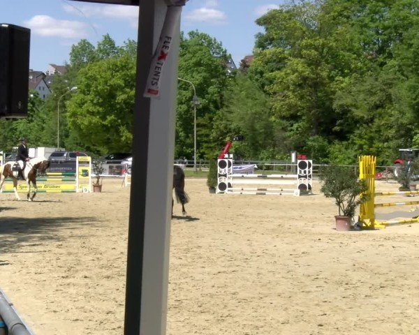 Reitturnier Winnenden 2025