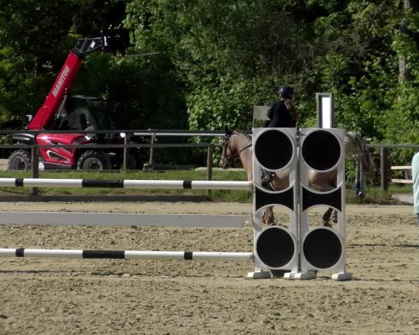 Reitturnier Winnenden 2025