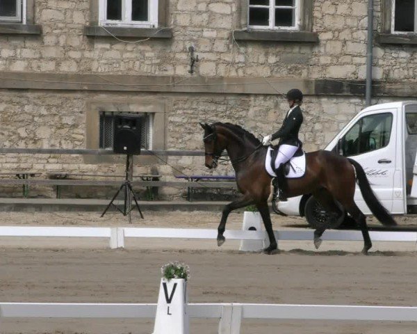 Reitturnier Hildesheim-Steuerwald 2025