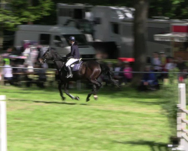 Reitturnier Helmsdorf 2025