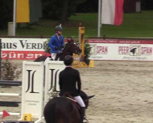 Reitturnier Westergellersen 2021