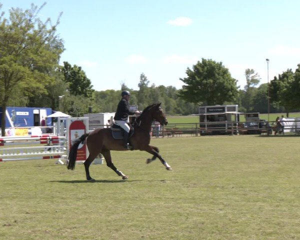 Reitturnier Wilkenburg 2025
