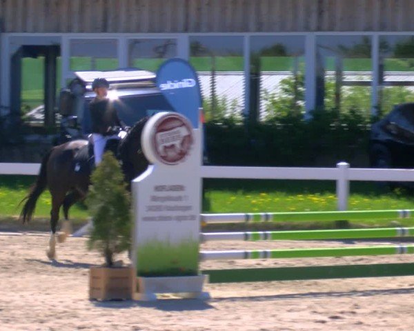 Reitturnier Fürstenwald 2025