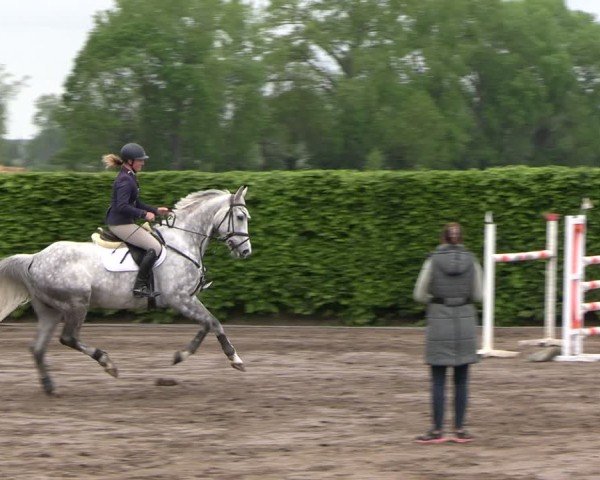Reitturnier Lentzke - Reitanlage Krehl 2025