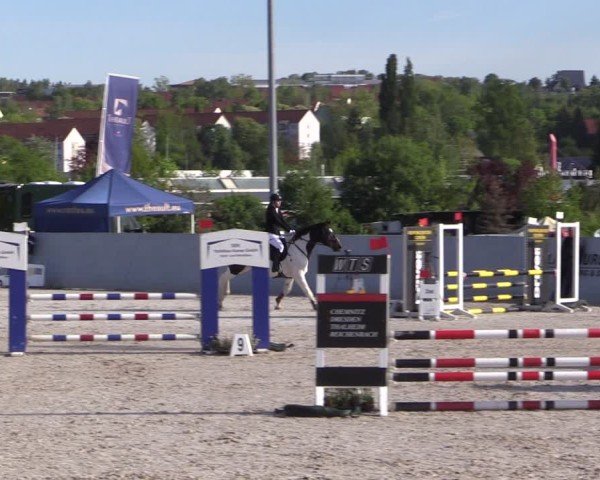 Reitturnier Zwickau 2025