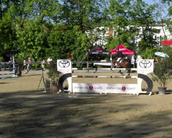 Reitturnier Winnenden 2025