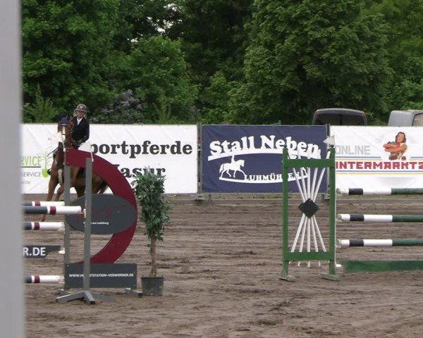 Reitturnier Lentzke - Reitanlage Krehl 2025