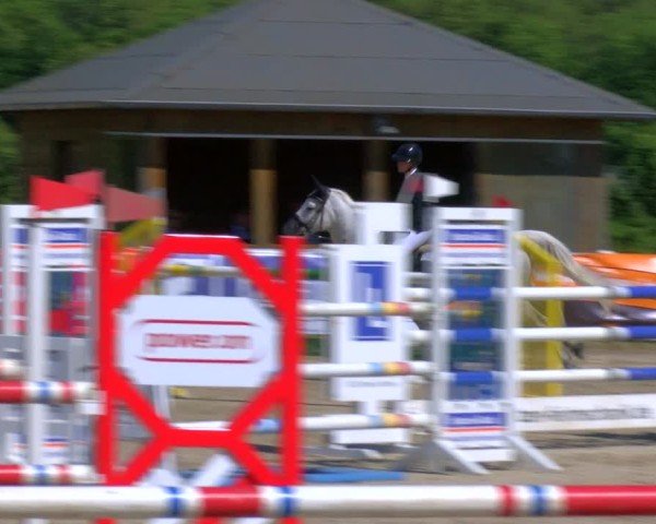 Reitturnier Fürstenwald 2025