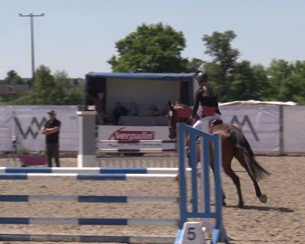 Reitturnier Poxdorf/Ofr 2025