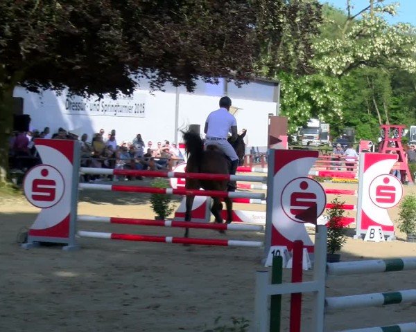 Reitturnier Dorsten 2025