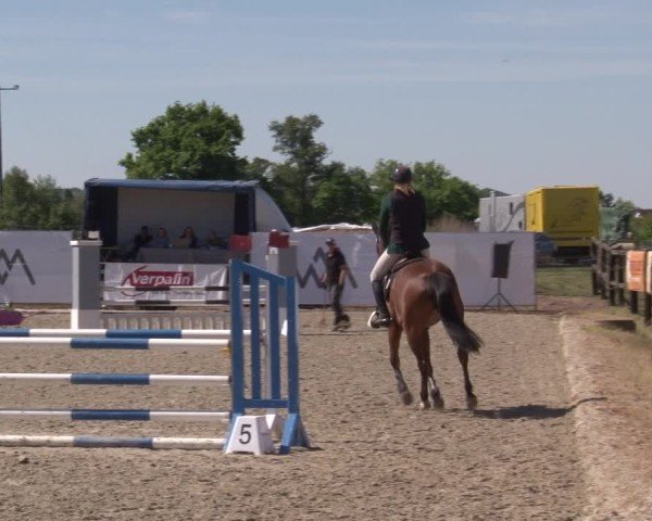 Reitturnier Poxdorf/Ofr 2025
