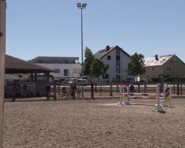 Reitturnier Poxdorf/Ofr 2025