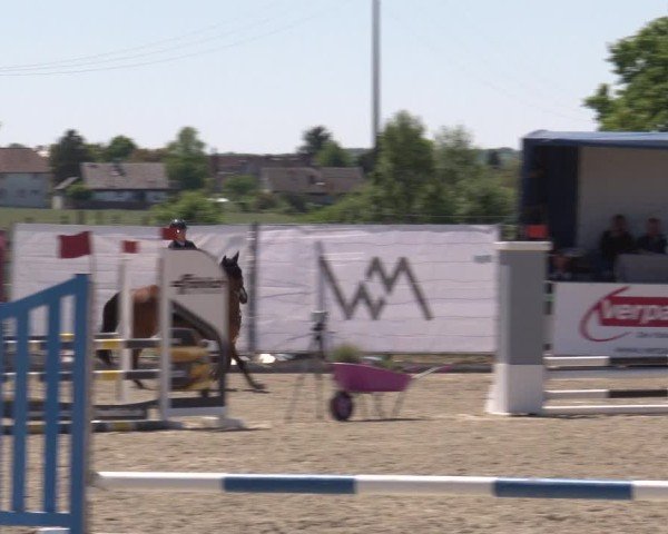 Reitturnier Poxdorf/Ofr 2025