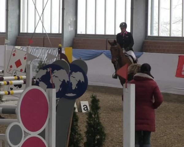 Hallen-Springturnier Greven 2014