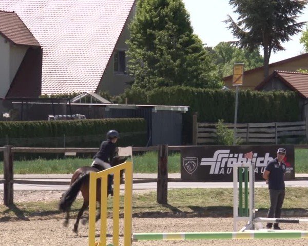 Reitturnier Poxdorf/Ofr 2025