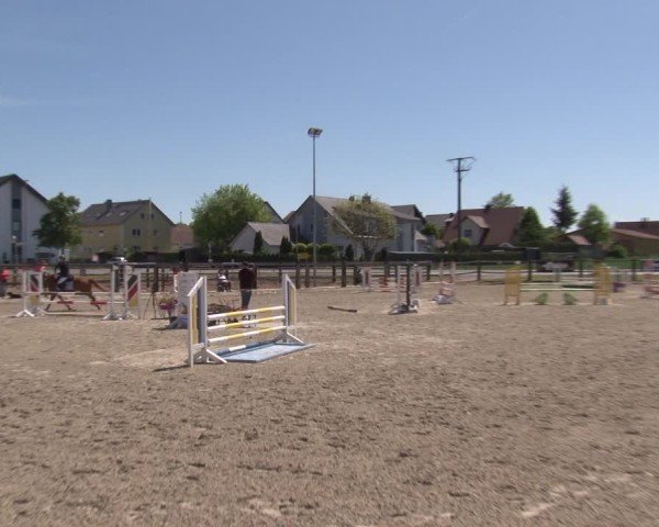 Reitturnier Poxdorf/Ofr 2025