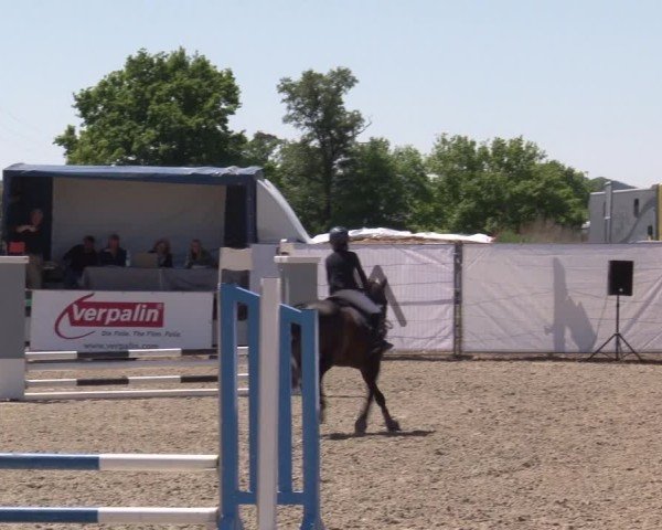 Reitturnier Poxdorf/Ofr 2025