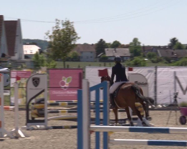 Reitturnier Poxdorf/Ofr 2025