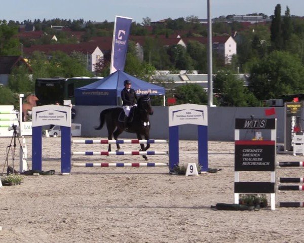Reitturnier Zwickau 2025