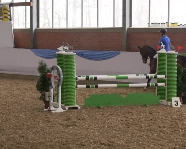 Hallen-Springturnier Greven 2014