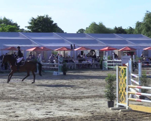 Reitturnier Lienen 2025