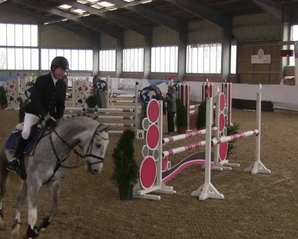 Hallen-Springturnier Greven 2014