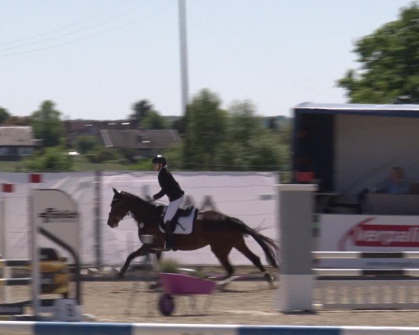 Reitturnier Poxdorf/Ofr 2025
