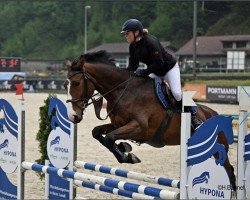 jumper Macan Athletic CH (Swiss Warmblood, 2020, from Million Dollar)
