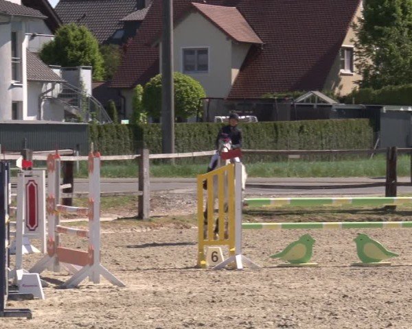 Reitturnier Poxdorf/Ofr 2025