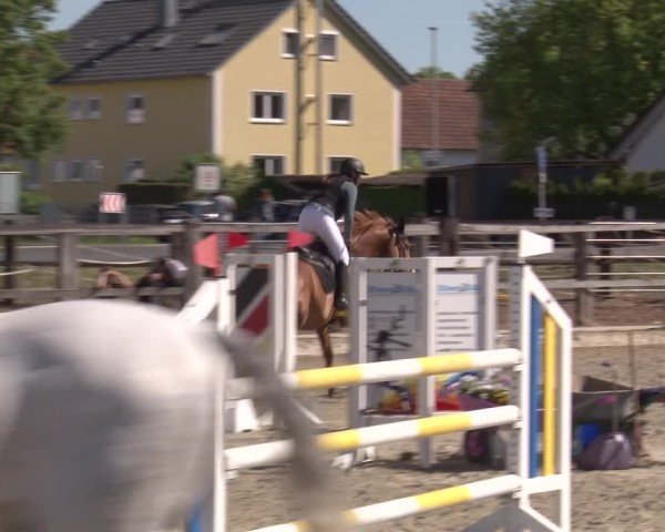 Reitturnier Poxdorf/Ofr 2025