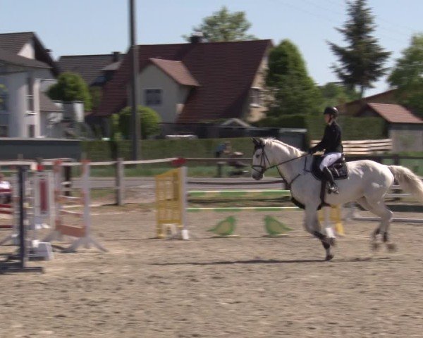 Reitturnier Poxdorf/Ofr 2025