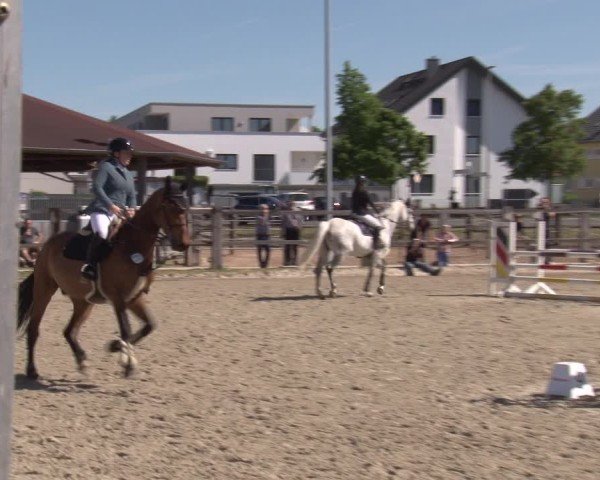 Reitturnier Poxdorf/Ofr 2025