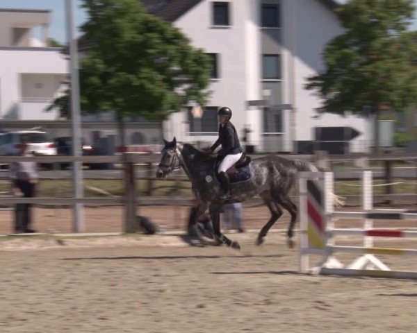 Reitturnier Poxdorf/Ofr 2025