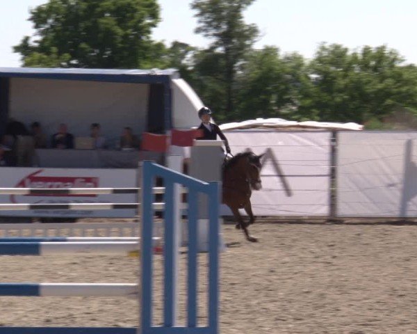Reitturnier Poxdorf/Ofr 2025