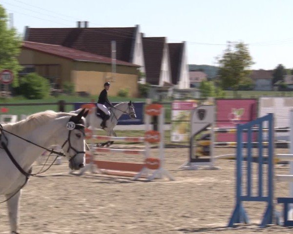 Reitturnier Poxdorf/Ofr 2025