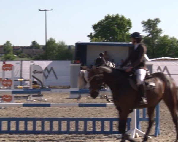 Reitturnier Poxdorf/Ofr 2025
