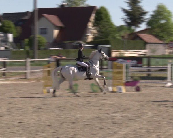 Reitturnier Poxdorf/Ofr 2025