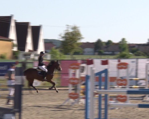 Reitturnier Poxdorf/Ofr 2025