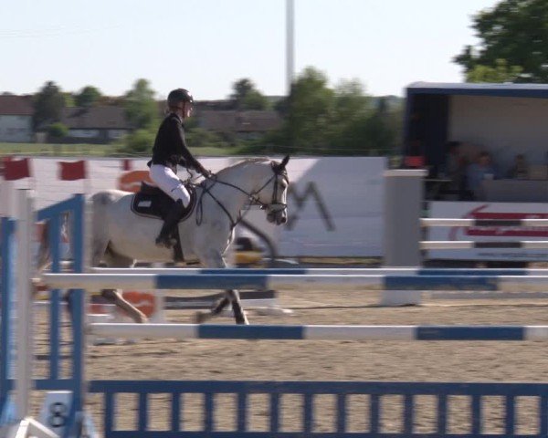 Reitturnier Poxdorf/Ofr 2025