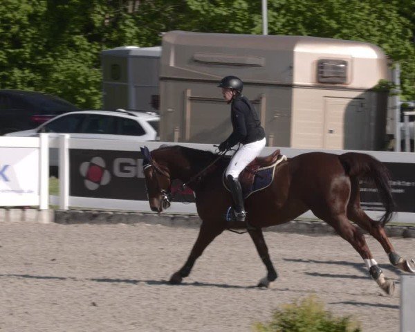 Reitturnier Babenhausen 2025