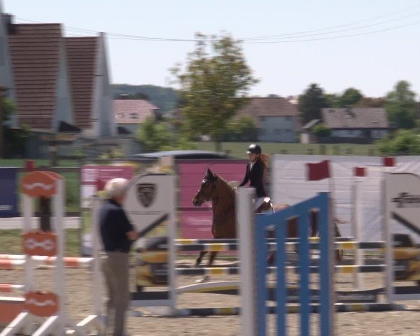 Reitturnier Poxdorf/Ofr 2025