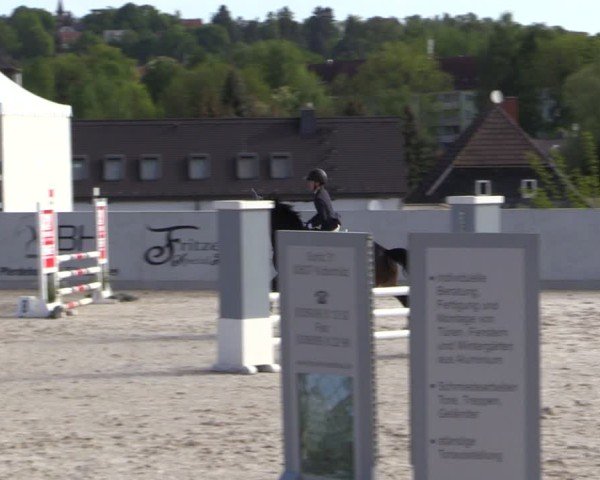 Reitturnier Zwickau 2025