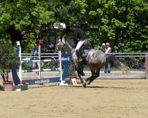 Reitturnier Winnenden 2025
