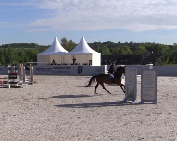 Reitturnier Zwickau 2025