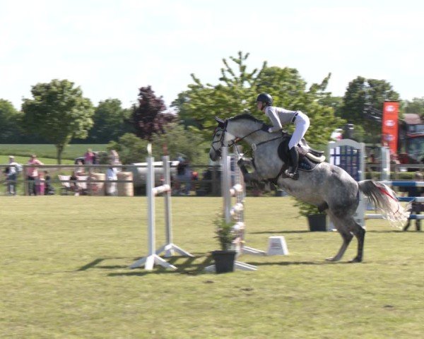 Reitturnier Wilkenburg 2025