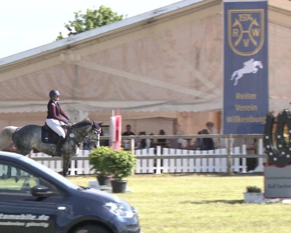 Reitturnier Wilkenburg 2025