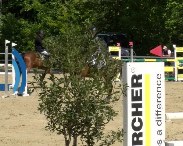 Reitturnier Winnenden 2025