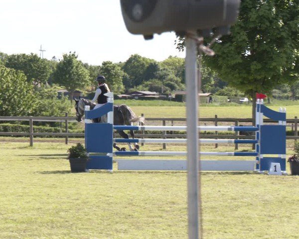 Reitturnier Wilkenburg 2025